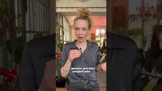 Bürgergeld gekürzt, weil Familie Lebensmittel schenkt?!