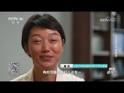 《创新进行时》 20240912 小肉鸽住进“智慧家”|CCTV科教