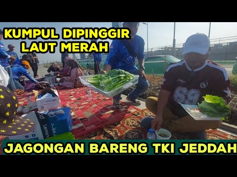 Kumpul bareng tki jeddah dipinggir laut merah