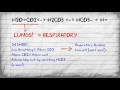 Acid-Base Balance and Compensation
