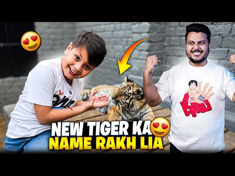 New Tiger ka Name Rakh Lia 😍 Azan ko Name Pasand Nai Aya 🤣 | Nouman Hassan