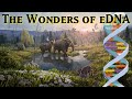 eDNA Research and Climate Insights