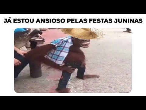 MEMES EM IMAGENS - JA ESTOU ANSIOSO PELAS FESTAS JUNINAS