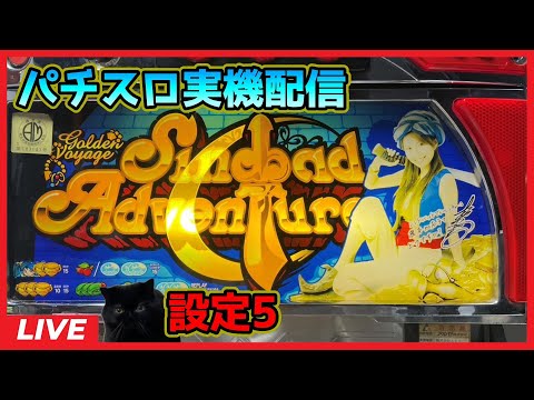 【パチスロ実機配信】シンドバッドアドベンチャーは榎本加奈子でどうですか【設定5】