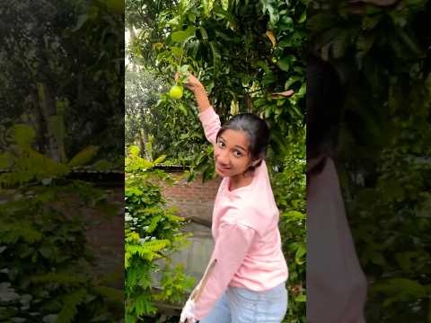 আমার পিসির বাড়ি এত দামি প্যাশন ফ্রুট গাছ😍অনেক ফল ধরেছে #shorts #food