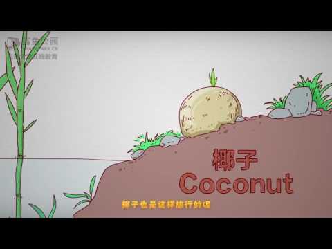【科学动画片】种子的旅行 - YouTube