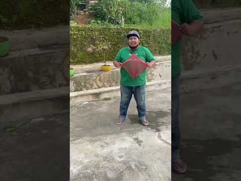 Main Layangan