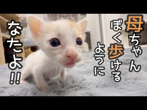 【近況報告】赤ちゃんの成長がすごいから見て！