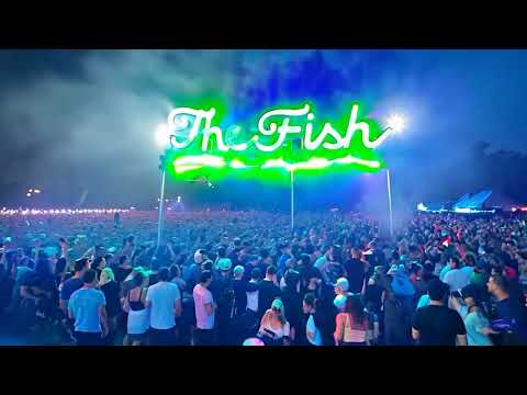 REMIX 2024 - TheFish - Si politia sa vina - Raggaeton Balkanic