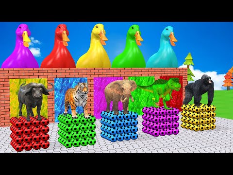 Long Slide Game With Elephant Gorilla T-Rex Buffalo Tiger - 3d Animal Game - Funny 3d Animals