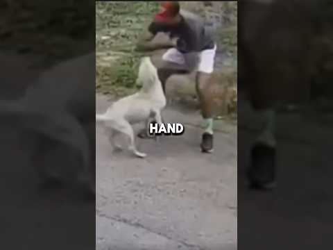 Save you life with this technique | Dog Bite
