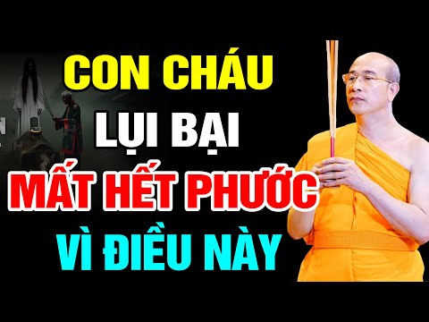 Hiện Tượng Động Mồ Động Mã Có Ảnh Hưởng Đến Phước Báu Của Con Cháu Hay Không hay quá Thầy Thái Minh