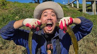 통발 200개를 걷어서 잡은 귀한 녀석을 먹어보자!