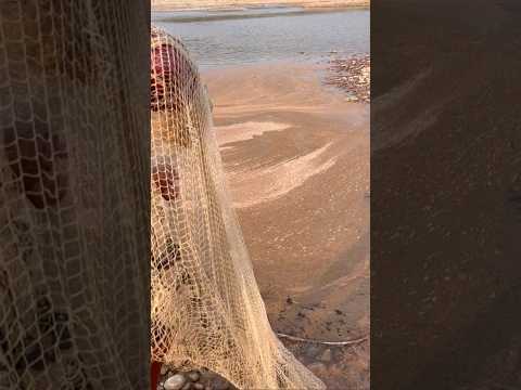 Habrán peces? #fishing #pescamosca #todosobrepesca #fish #pescao #pescadeportiva #bassfishing