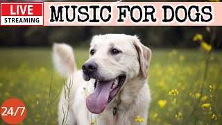 🔴[LIVE] Dog Music 🐶🎵Calming Music for Dogs 🐶🎵Separation Anxiety Relief💖🦮Dog Deep Sleep Music🔴21