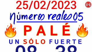 Un PALÉ 🔥 SÚPER para GANAR HOY 25/02/2025/NÚMEROS para GANAR las LOTER1AS HOY SÁBADO 25 de FEBRERO
