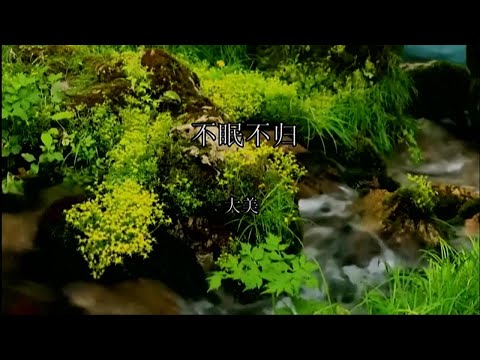 不眠不归=大美-伴奏 KARAOKE