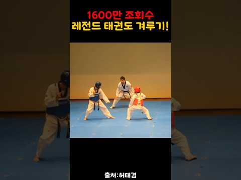 태권도 레전드 겨루기!