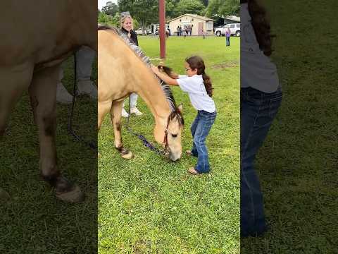 Funny horse🐎#funny #fyp #pets #foryou #pov #fypシ #pet