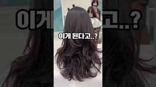 말리기만 했는데 이게 된다고..?