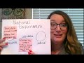 Understanding Government Structures and Roles