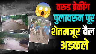  टेंभूरखेळ-भेमडी पूल पाण्याखाली | शेतमजूर व बैल अडकले, शाळेत शिरले पाणी विद्यार्थ्यांचे बेहाल 