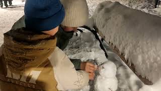 # MANASTV ПРЕДСТАВЛЯЕТ С  наступающим Новым годом Мира и счастья желаю 