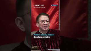 Senate impeach court to seek help from ‘amici curiae’