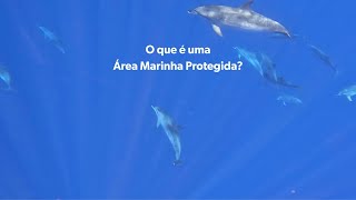 Feliz dia das Áreas Marinhas Protegidas!