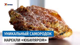 В Калининграде добыли уникальный самородок из двух видов янтаря