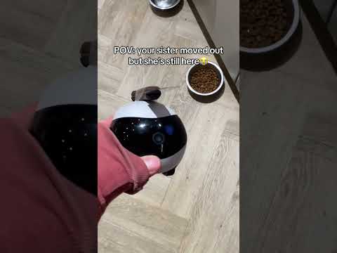This robot makes it feel like sheโs here at home ๐ญ๐#siblings #longdistance #ldr #robot