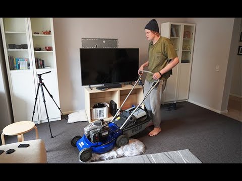 Mowing the Carpet