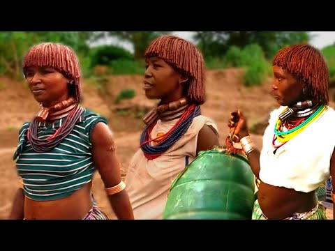 Tribal marriage vibe | hamer tribe bull jumping ceremony #tribalmarriage #triballife