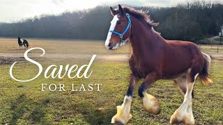 We SAVED This Horse For Last...Here's Why