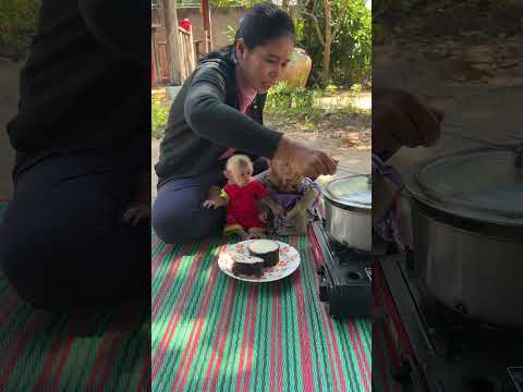 Mom Prepear Potatoes For Baby TanTan & Marry Eat