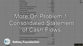 More On Problem 1: Consolidated Statement of Cash Flows