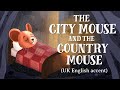 City Mouse and Country Mouse Analysis