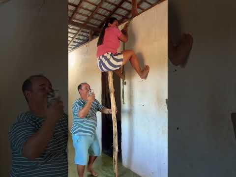 Pendurou a esposa.