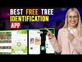 Tree Identification Apps Features