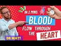 Heart Anatomy and Blood Circulation