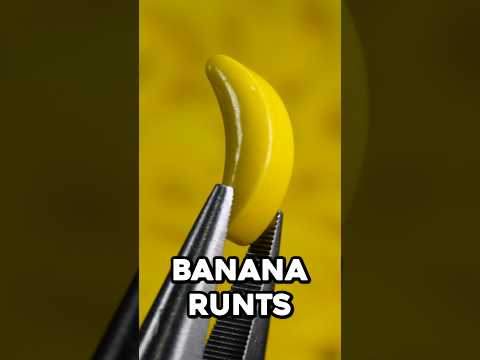 Will It Blend? - BANANA RUNTS #shorts