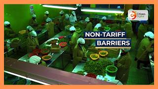 YouTube video thumbnail:  East Africa Horticulture Sector Calls for Removal of Trade Barriers 