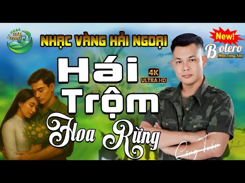 LK HÁI HOA RỪNG CHO EM➤ CA NHẠC TRỮ TÌNH HẢI NGOẠI👉BOLERO CÔNG TUẤN➤ NHẠC VÀNG HAY NHẤT MỌI THỜI ĐẠI