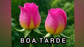 Lindas mensagens de boa tarde amigos 