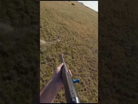 Hitting Hog Hard!! Flying Pig #hunting