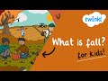 Understanding the Fall Season