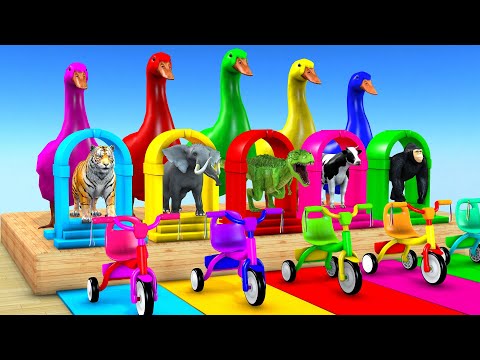 5 Giant Duck Cartoon Tiger, Cow, Elephant, Gorilla, Dinosaur, Transfiguration funny Animal Game 2023