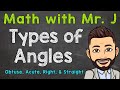 Exploring Types of Angles: Acute, Obtuse, Right, and Straight