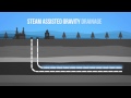 Oil Sands Development Challenges and Concerns