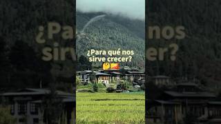¿Para qué sirve el desarrollo? 🍜